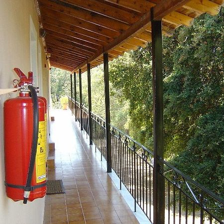 Reggis Apartments Δασιά Εξωτερικό φωτογραφία